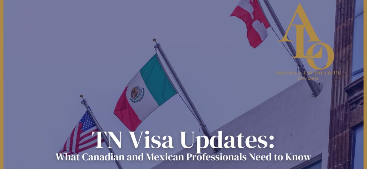 TN Visa for Canadian and Mexican Professionals