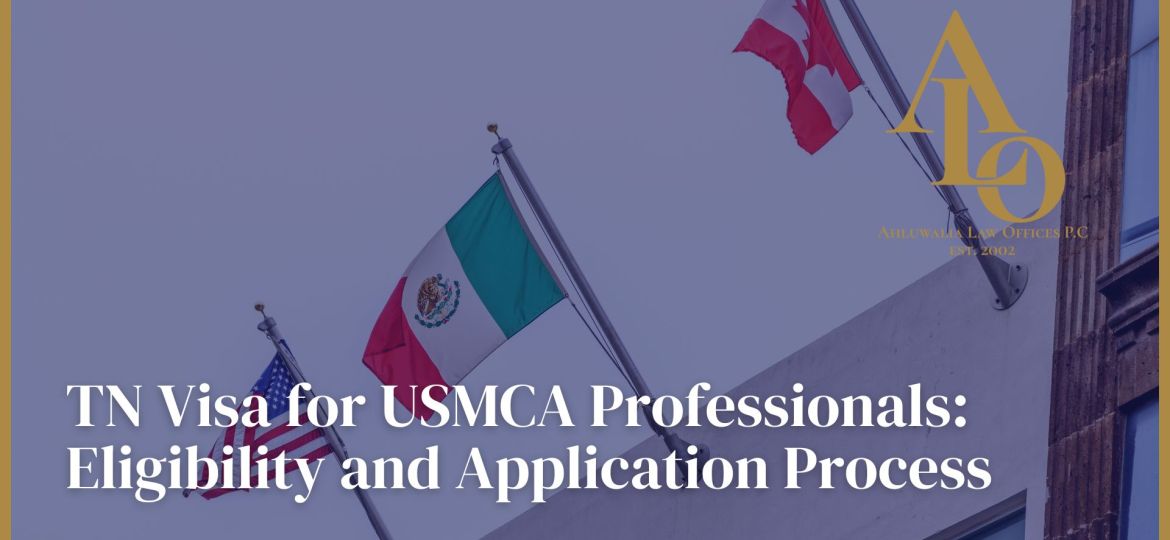 TN Visa for USMCA Professionals: Eligibility and Application Process